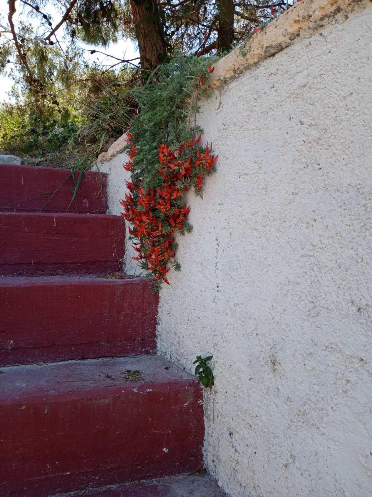 Villa Phyllia, Knossos, Crete Exterior photo